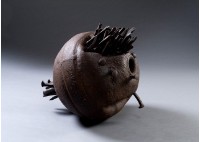 活體藏品圖，第1張