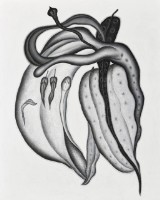 伸游藏品圖，第1張