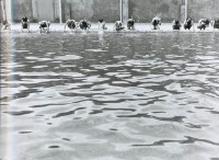 泳前準備藏品圖，第1張