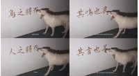 犬僧：論語選的圖片
