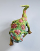 變色龍系列11-尖鼻藏品圖，第1張