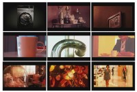 閃燃-發酵的皮層的圖片