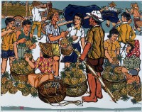 鳳梨之鄉的圖片