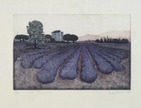 法國南部地區(淺棕色)的圖片