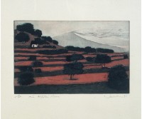 大.更大.........之二的圖片