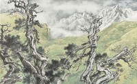 高山古木的圖片