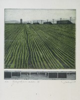 禁止攝影的圖片