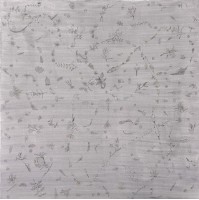 兔子學螞蟻走路的圖片