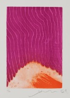 往永久的花園13藏品圖，第1張