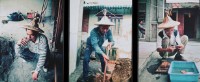 眠夢：草根夢春天的圖片