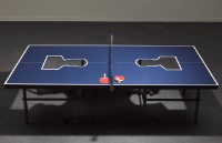 乒乓毛藏品圖，第1張