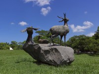 鹿朋友藏品圖，第2張