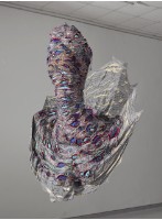 野柳的海貝藏品圖，第1張