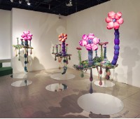 水面上的花朵藏品圖，第1張