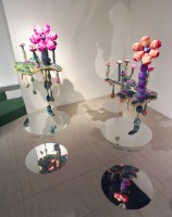 水面上的花朵藏品圖，第3張