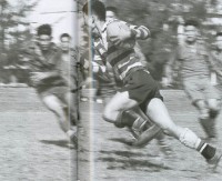 激戰 ( 二 ) 爭球藏品圖，第1張