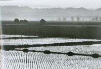 田園朝景藏品圖，第1張