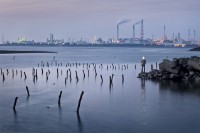 台灣「美景」—台西的圖片
