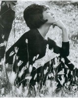 思秋藏品圖，第1張