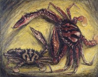蟹藏品圖，第1張