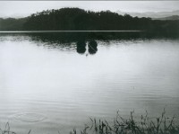 靜謐藏品圖，第1張