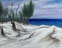 白砂灣藏品圖，第1張