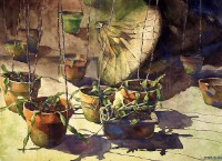 盆景藏品圖，第1張