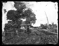 交趾支那-4藏品圖，第1張