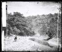 福爾摩沙-1的圖片