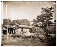 木柵藏品圖，第1張