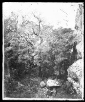 福爾摩沙-2藏品圖，第1張