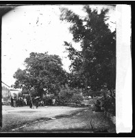 樹木圍繞的草坪，台灣府藏品圖，第1張