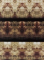 嗡:聚化藏品圖，第1張