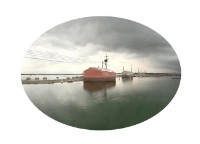 臺灣水沒－嘉義縣東石鄉白水湖的圖片