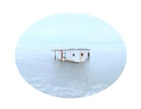 臺灣水沒－屏東縣新園鄉鹽埔高屏溪口塭寮的圖片