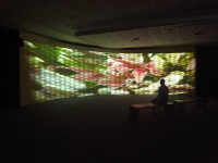 繁星之眼－複眼藏品圖，第1張