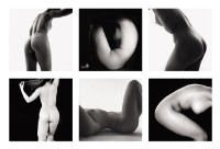 六部曲藏品圖，第1張