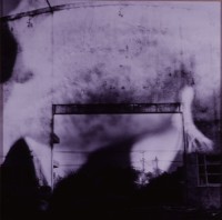 牆Ⅲseries201203的圖片