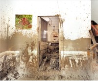 莫拉克‧南沙魯-1藏品圖，第1張