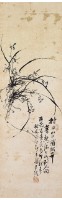 蘭花的圖片