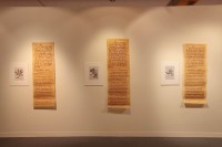 逆境中的植物--台灣本島系列的圖片