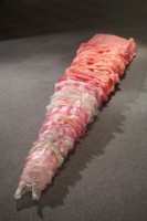 塑膠袋們藏品圖，第1張