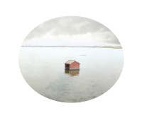 臺灣水沒－雲林口湖成龍農田(濕地)的圖片