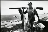 鬼頭刀藏品圖，第1張