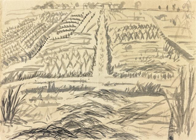 Field