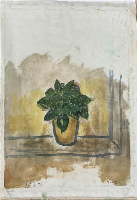Potted Plant by the Window