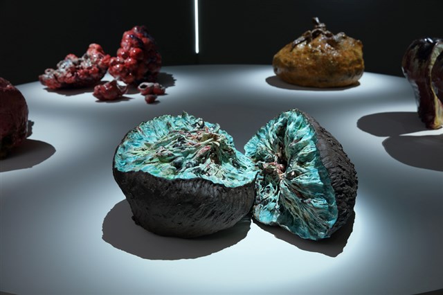 Personal Tortuous History of Flesh:Field of Vitality--Fiber of Kiwi