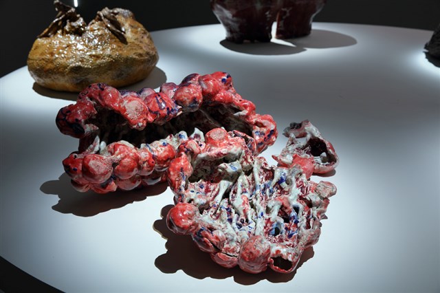 Personal Tortuous History of Flesh: Field of Vitality--Raspberry
