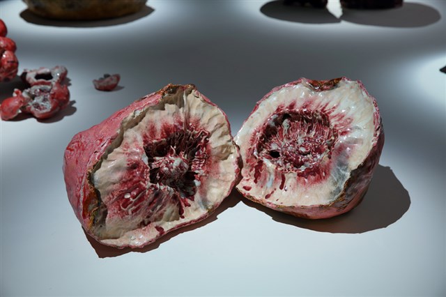 Personal Tortuous History of Flesh: Field of Vitality--Red Seen in the Eyes