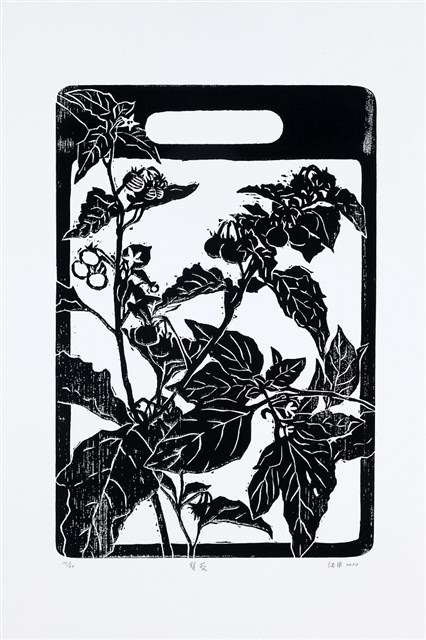 Black Nightshade